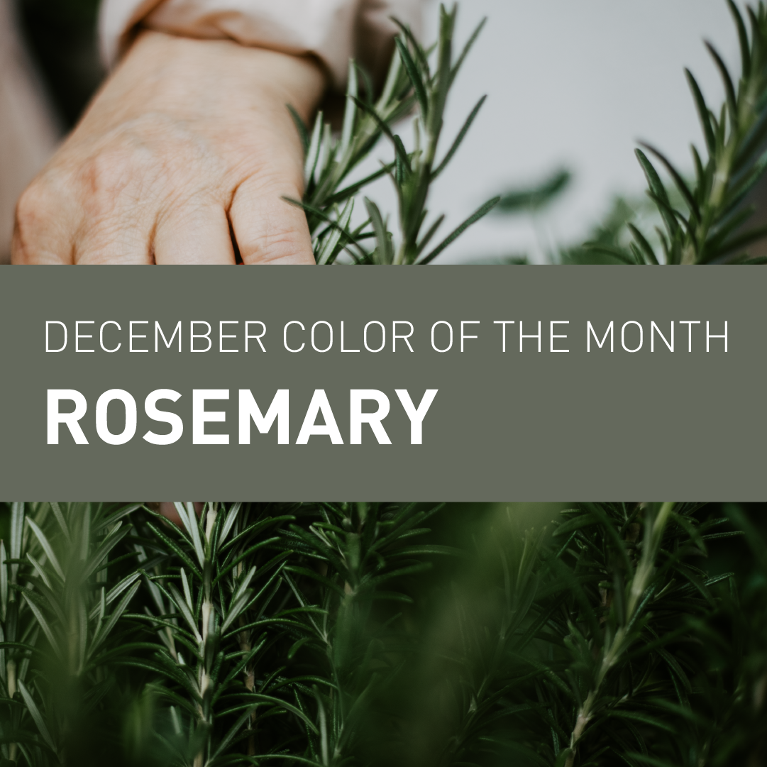 Professional Painting Services in Hamilton & Burlington WOW 1 DAY